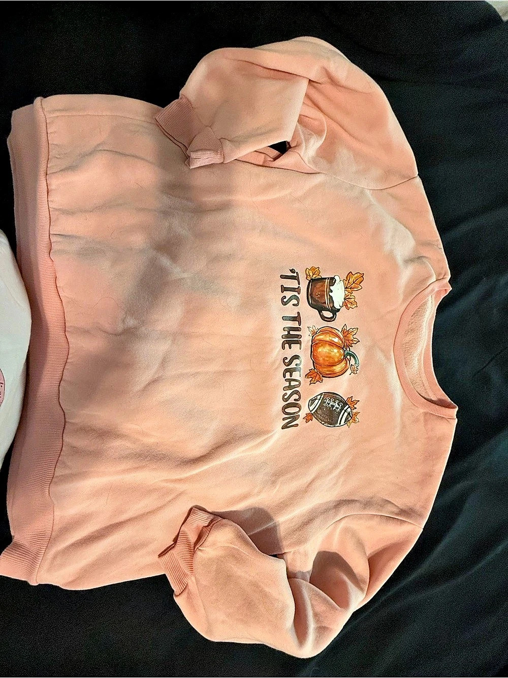 SHEIN Pink Graphic Sweatshirt Size 4XL
